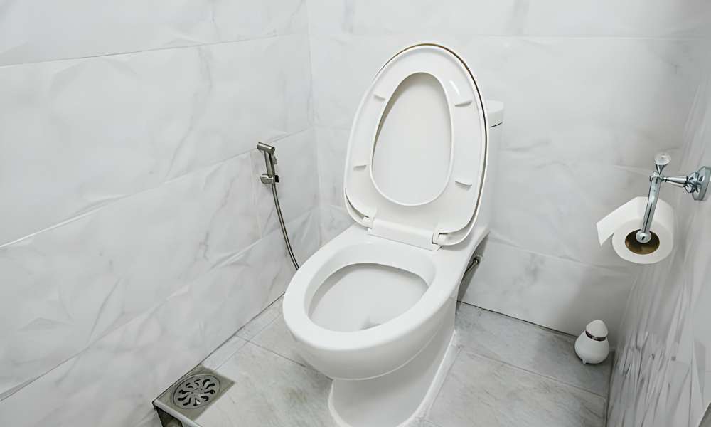 Best Toilet Seat For A Heavy Person